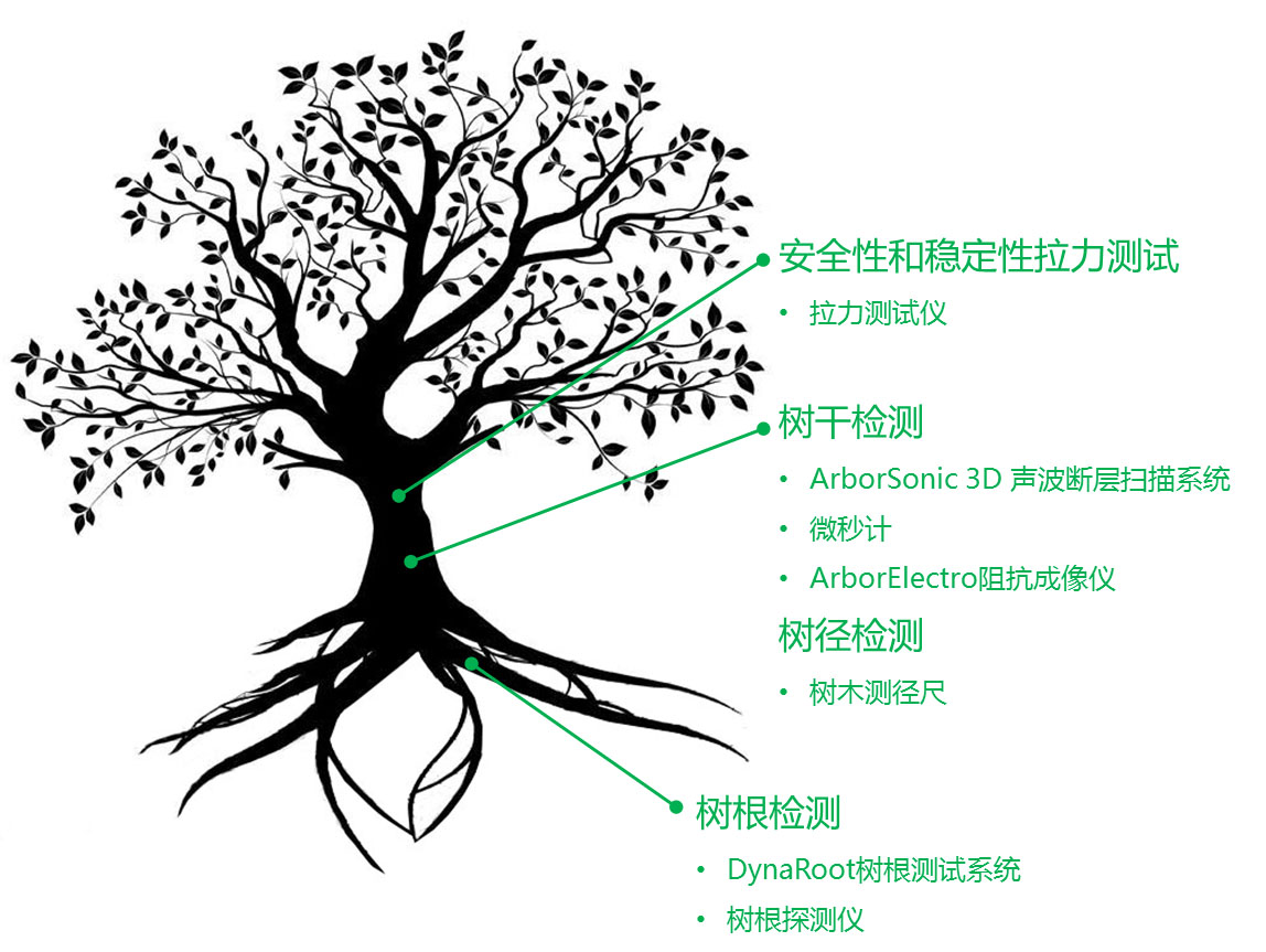 AG真人·国际(中国游)平台官方网站